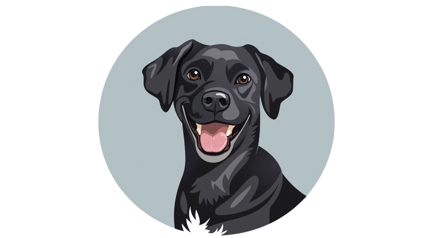 Jax Portfolio Chat Agent